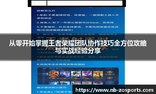 从零开始掌握王者荣耀团队协作技巧全方位攻略与实战经验分享